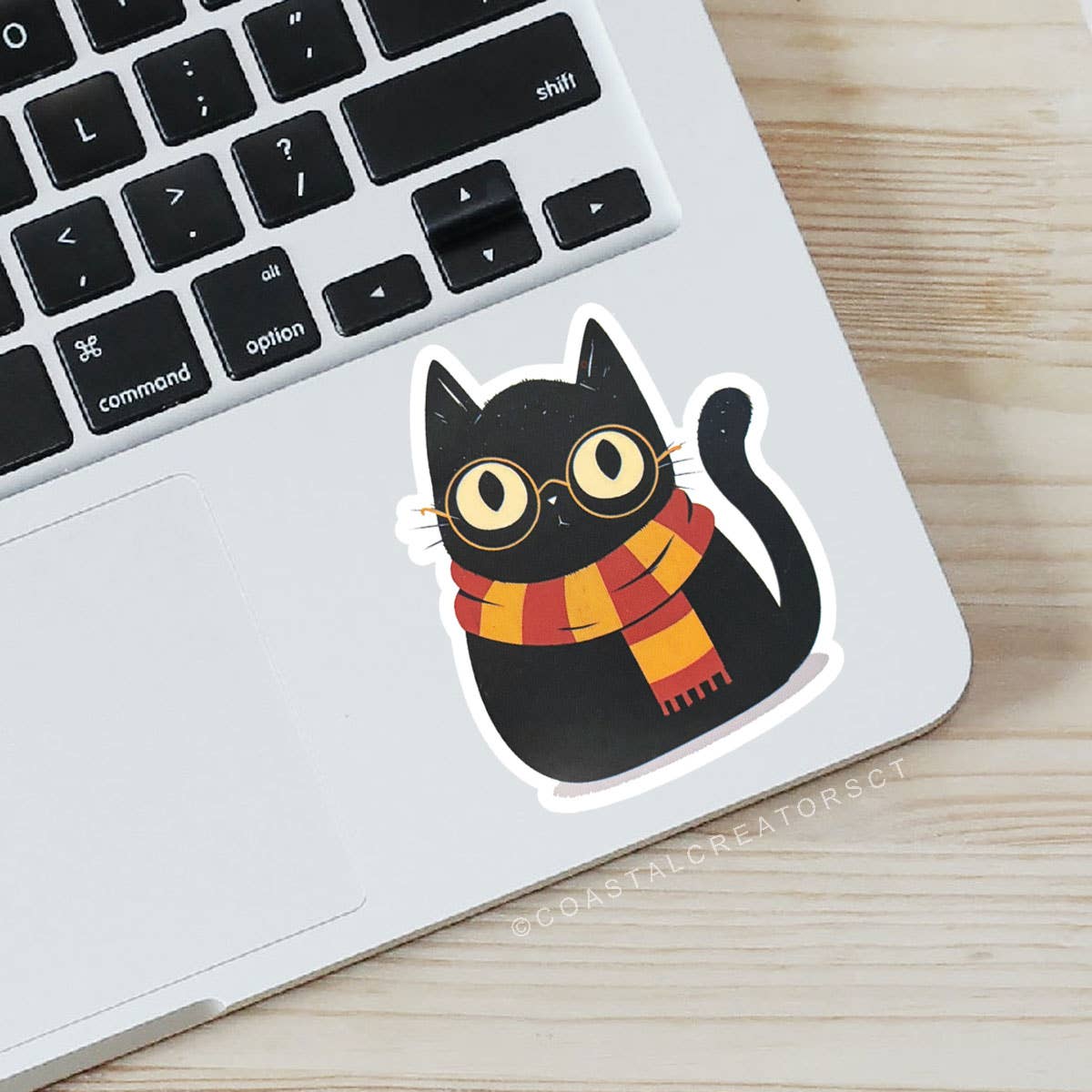 Harry Potter Cat Sticker