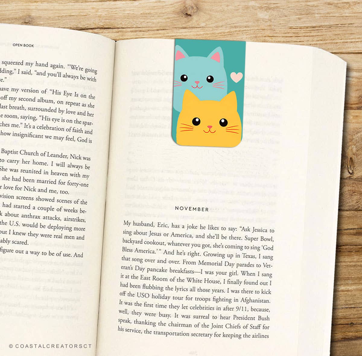2-Pack Colorful Cats Magnetic Bookmarks