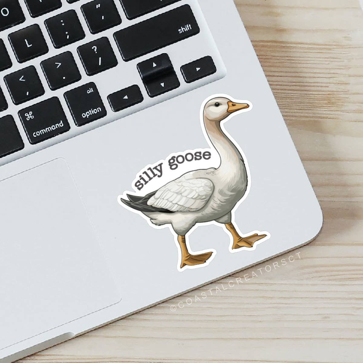 Silly Goose Waterproof Laptop Bottle Sticker