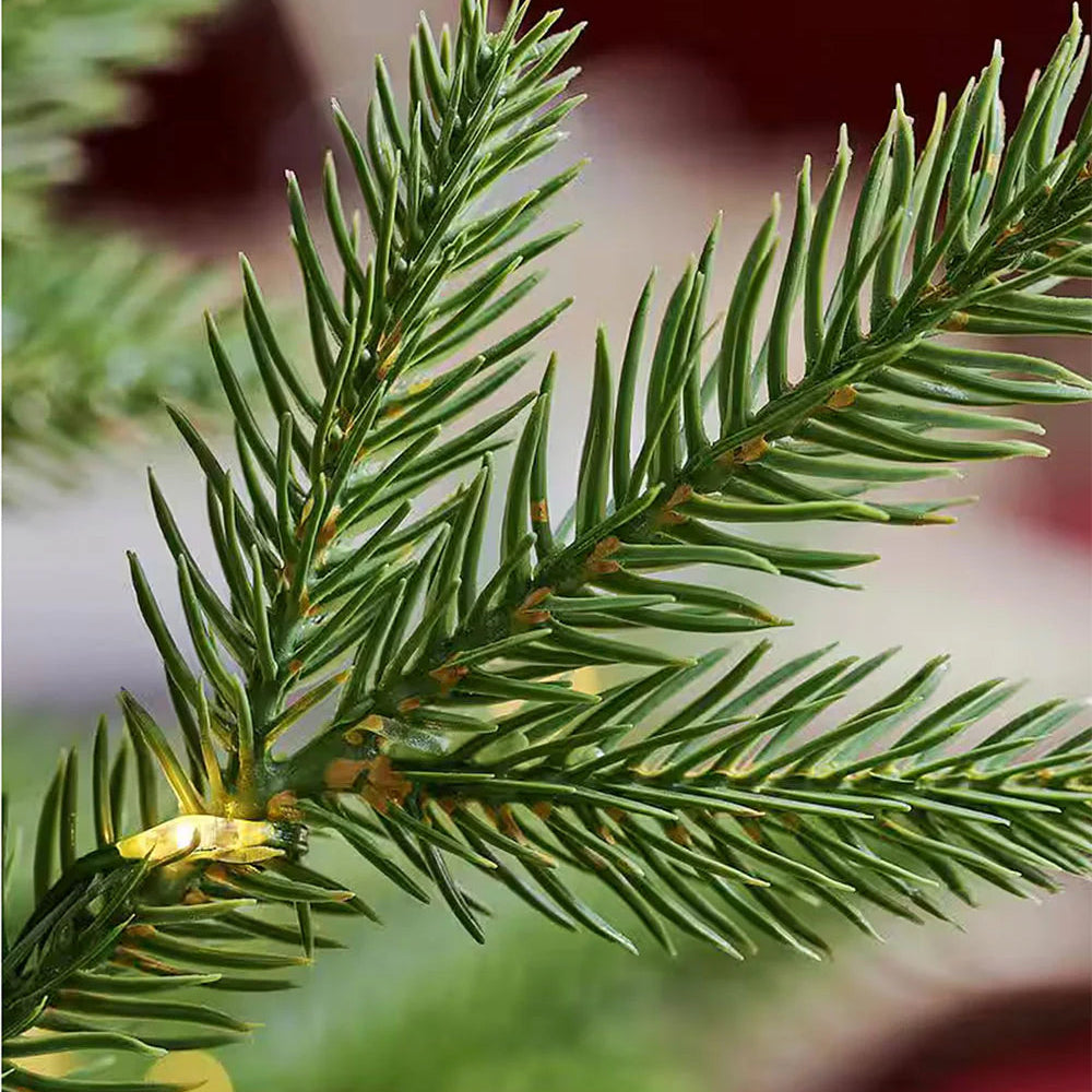 Balsam Fir Wax Melts