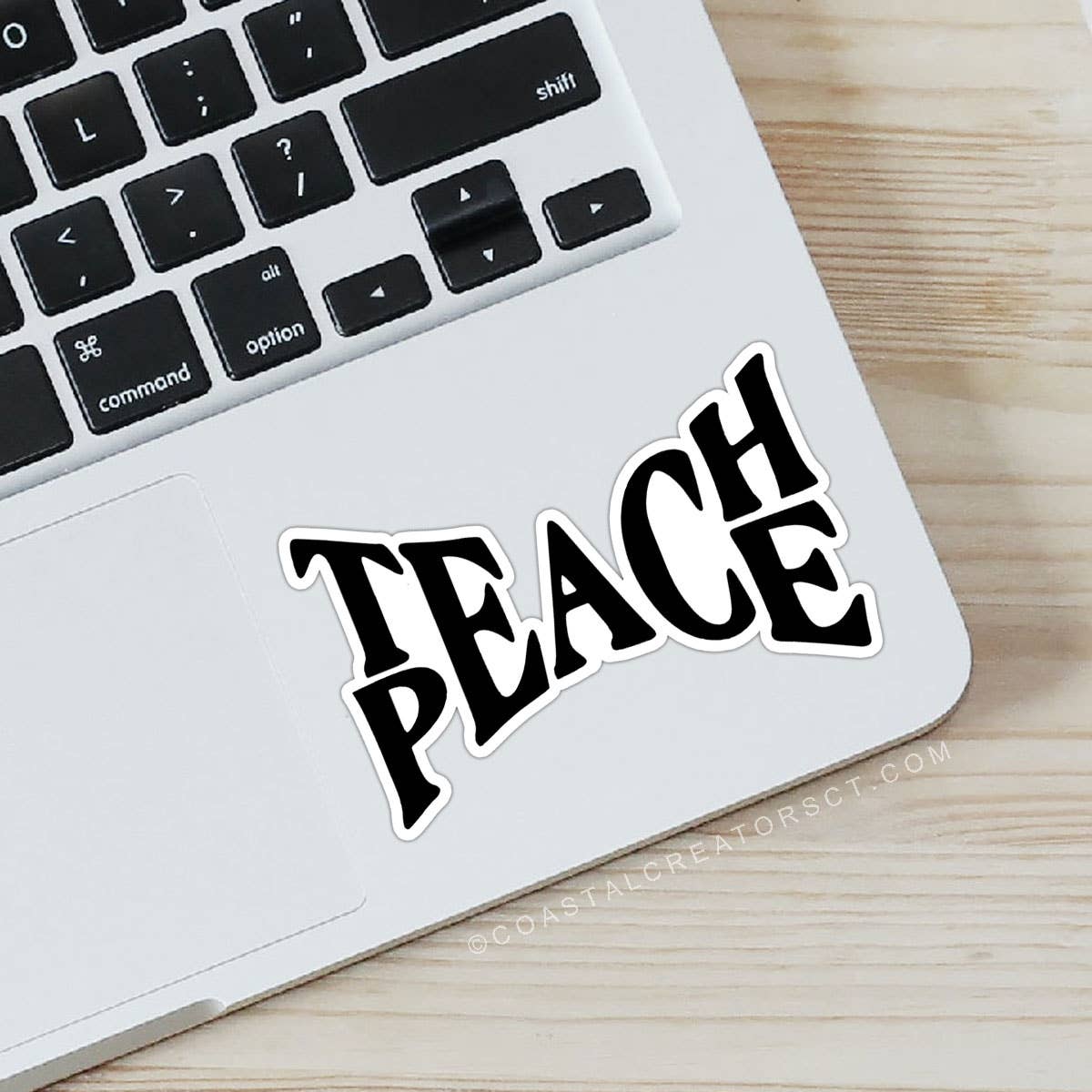 Teach Peace Sticker