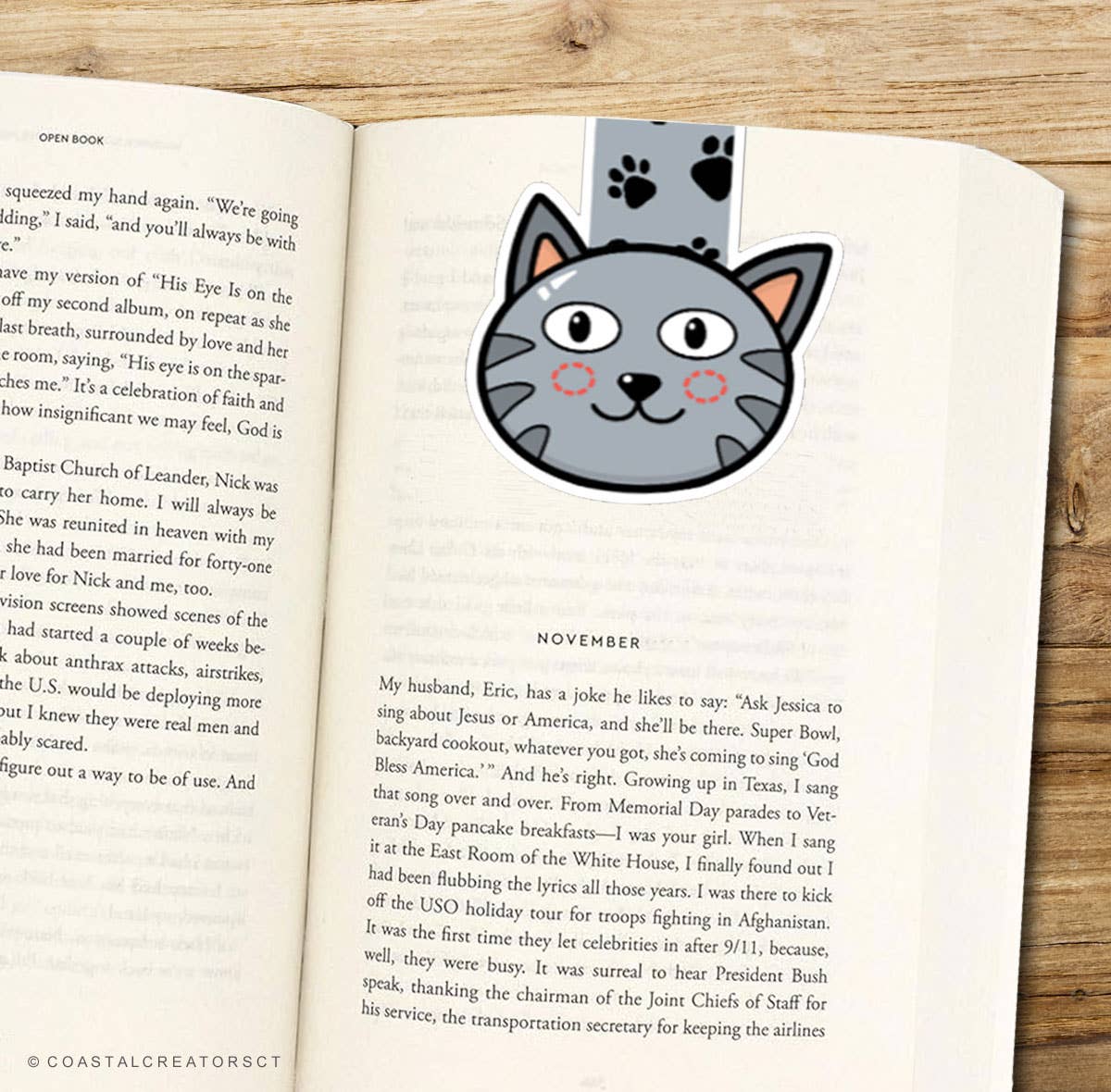 Grey Cat Big Eyes Reversible Magnetic Bookmark (Packaged)