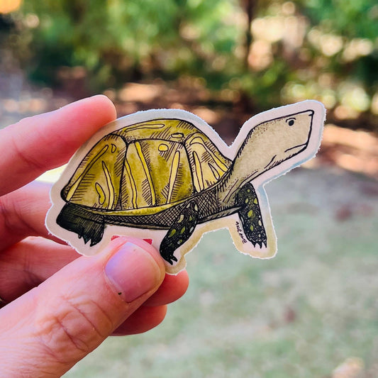 Slow And Steady Sticker