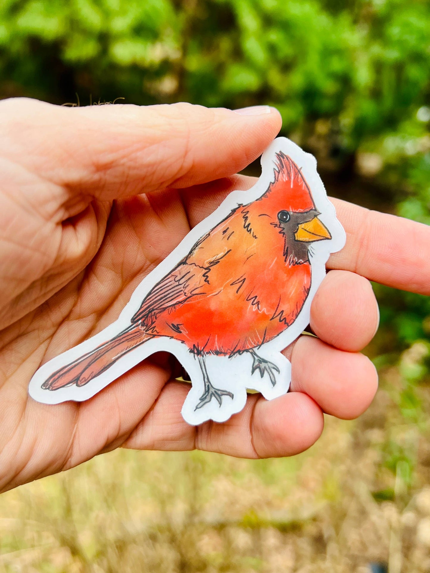 Cardinal Sticker