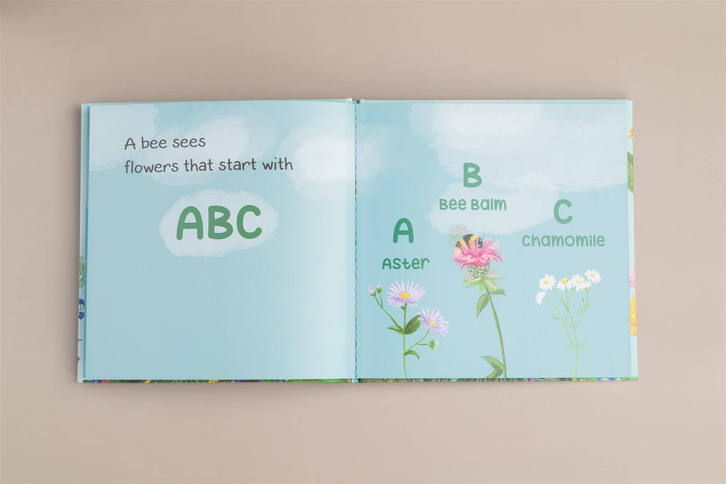 A Bee Sees the ABC's Hardback Children's book