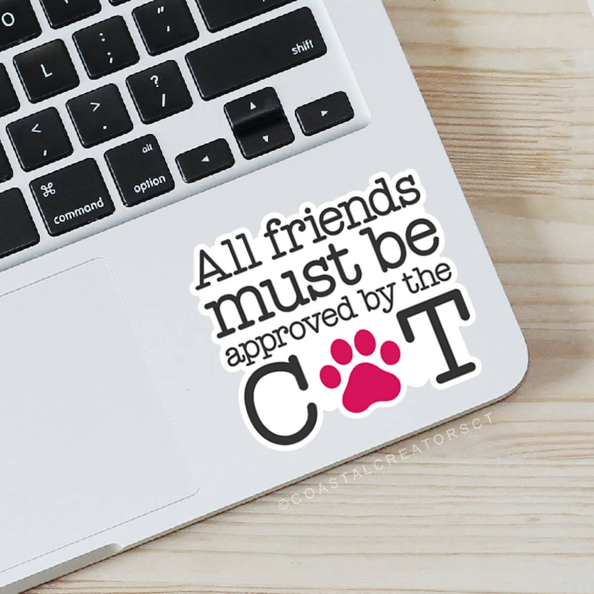 All Friends Must be Approved by Cat Laptop Bottle Sticker