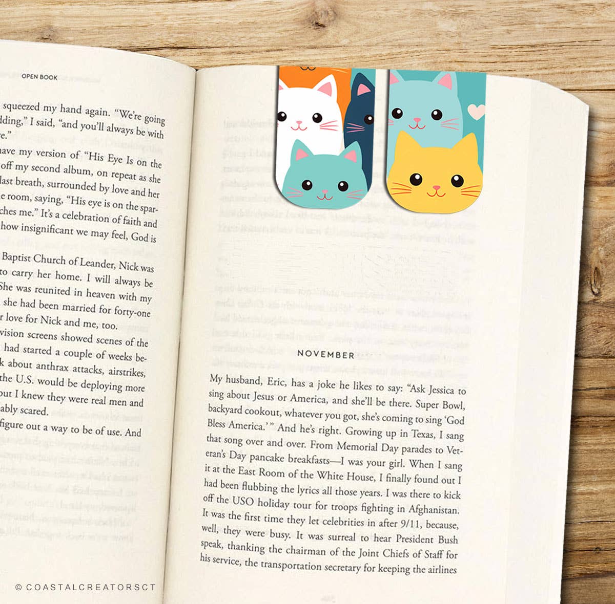 4-Pack Colorful Cats Magnetic Bookmarks (Packaged)