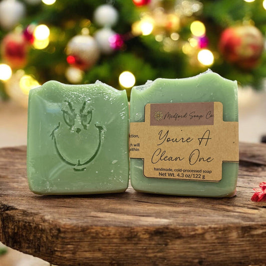 You're A Clean One Soap