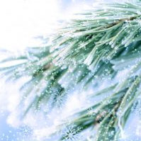 Alpine Sleigh Room Spray