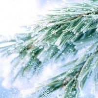 Alpine Sleigh Candle