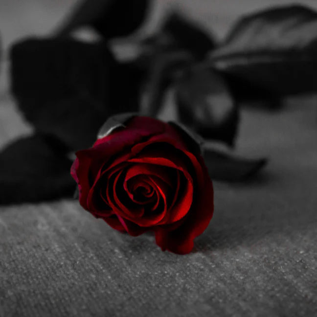 Dark Kiss Room Spray