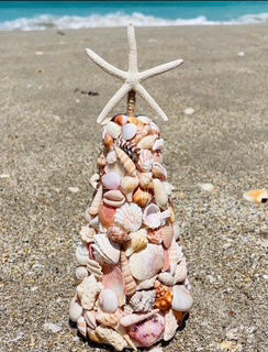 Class: Shell Tree - Tuesday December 8, 2026