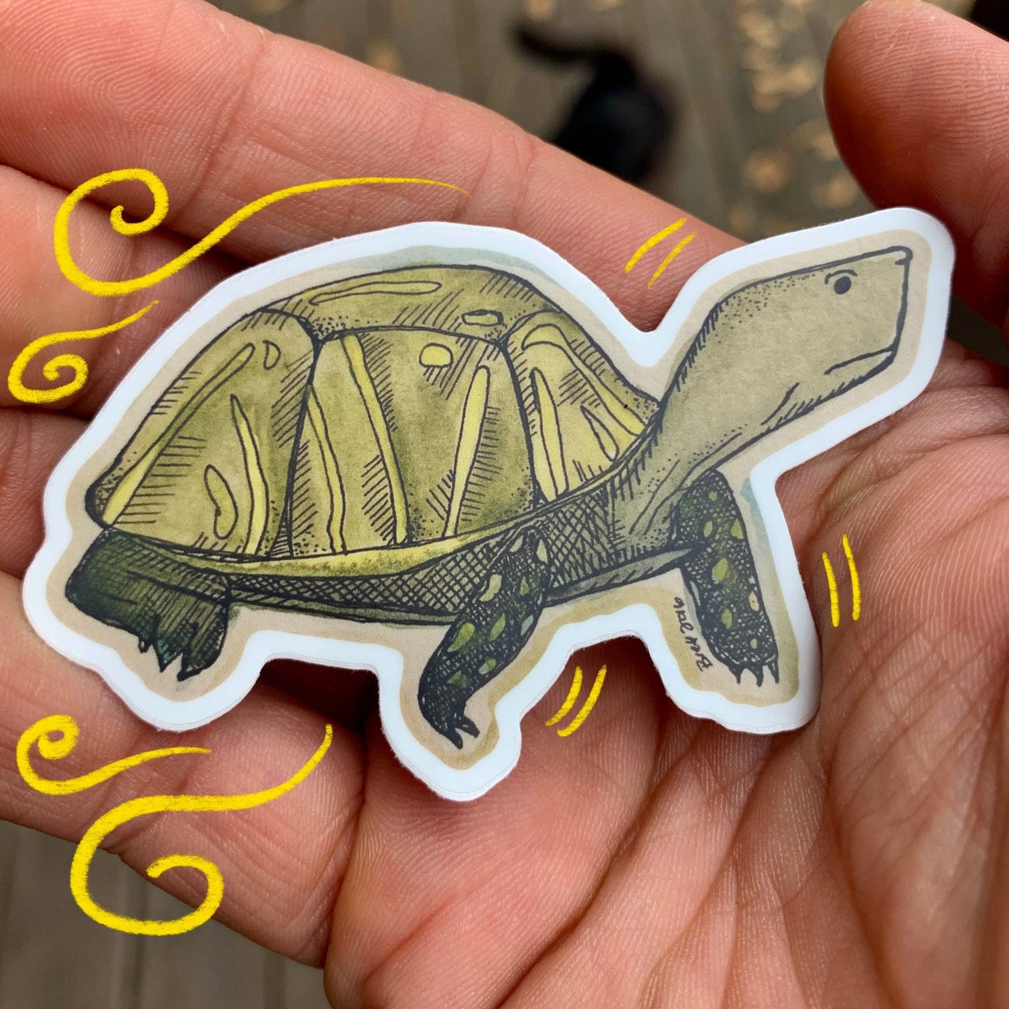Slow And Steady Sticker
