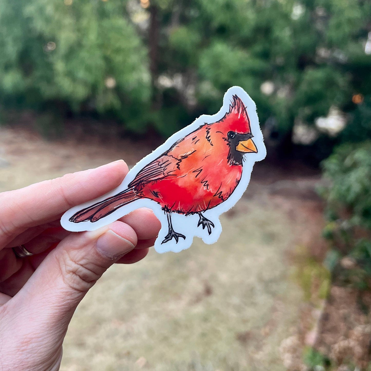 Cardinal Sticker