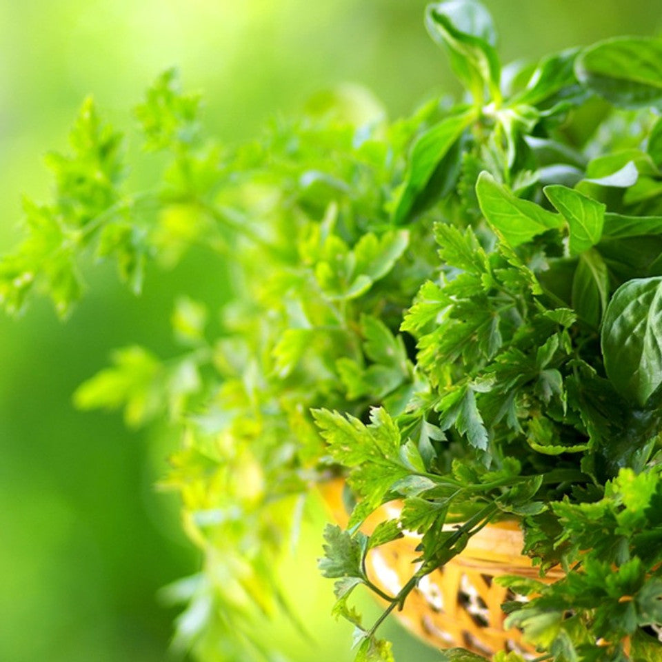 Patchouli Room Spray